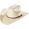 Cody James Men's Natural Straw Horsehair Band Cowboy Hat
